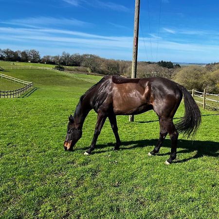 Byre - Farm Cottage On 9 Acre Equestrian Small Holding Salisbury Exterior foto