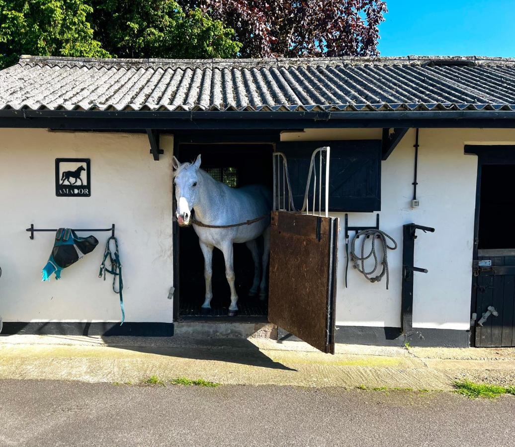 Byre - Farm Cottage On 9 Acre Equestrian Small Holding Salisbury Exterior foto
